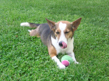 Angela Neal Photo 37