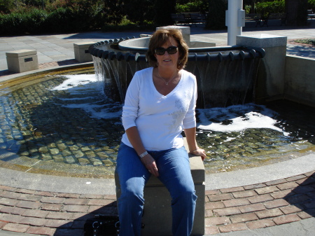 Teresa Gibson Photo 36