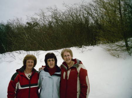 Brenda Stringer Photo 13