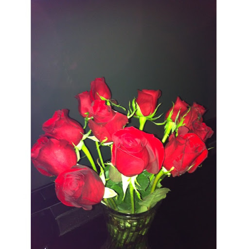 Debbie Dozier Photo 8