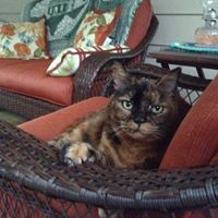 Amy Bittner Photo 12