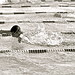 Jamie Haines Photo 33