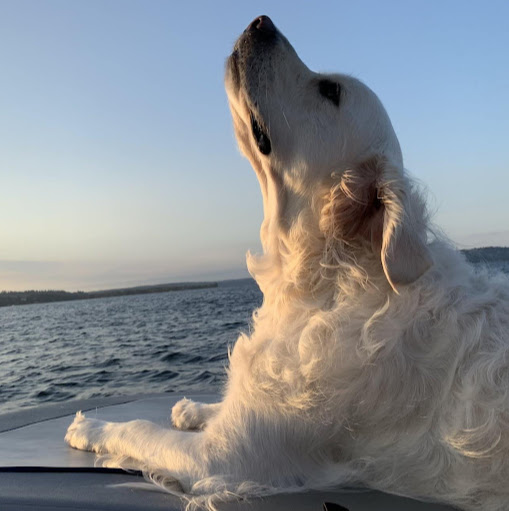 James Browning Photo 35 James Browning Photo 35