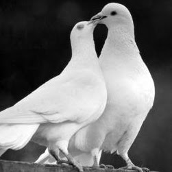 Donna Nelson Photo 34