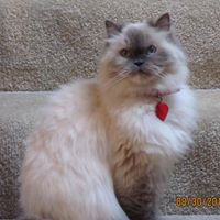 Jimmie Rader Photo 2