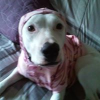 Sherry Harbin Photo 6