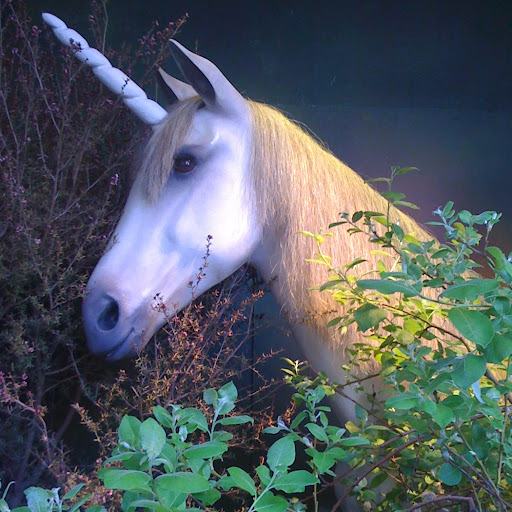 Robin Means Photo 25