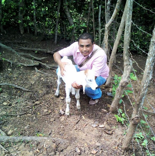 Dennis Acevedo Photo 6