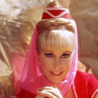 Anne Meadows Photo 19