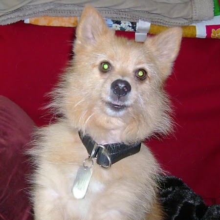 Ian Mcclellan Photo 12