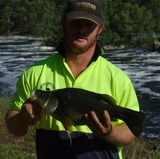 Dave Shields Photo 16