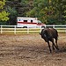 Crystal Briggs Photo 27