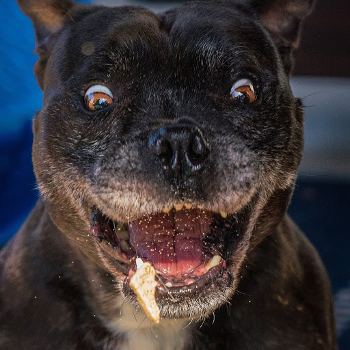 Charles Bradshaw Photo 39 Charles Bradshaw Photo 39