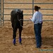 Clinton Anderson Photo 30