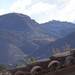 Agustin Nieves Photo 8