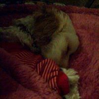 Cindy Mulholland Photo 11