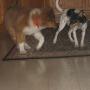 Janice Snyder Photo 28