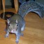 Cindy Rhoads Photo 6