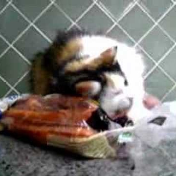 Cindy Tanner Photo 1