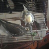 Cynthia Winslow Photo 5