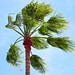 Wendy Busch Photo 11