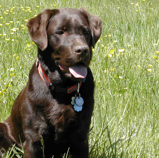 Sandy Rodgers Photo 17