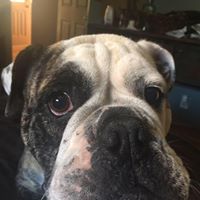 Eric Distefano Photo 5