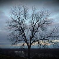 Kathleen Strong Photo 32