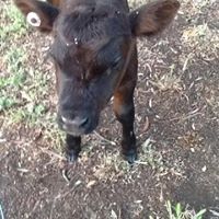 Faye Douglas Photo 14