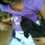 Araceli Linares Photo 20