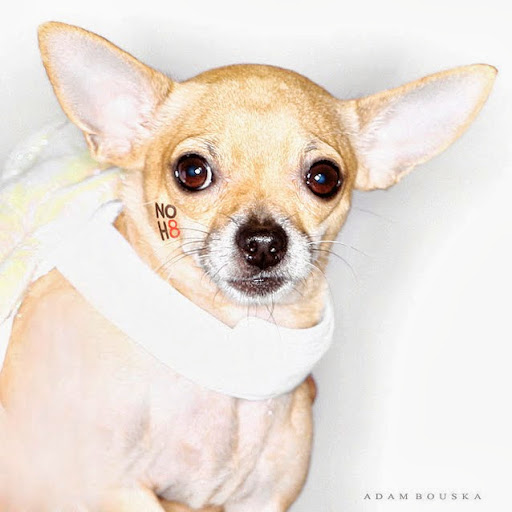 Steven Hack Photo 23