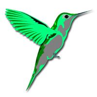 Sandy Mcbride Photo 25