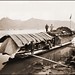 Ernest Wilson Photo 13