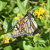 Jeannette Parker Photo 17