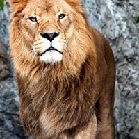 Jeremy Rogers Photo 7