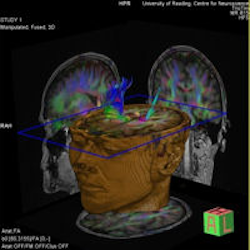 Duncan Williams Photo 10