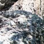 Reina Roman Photo 11