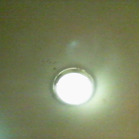 Peter Wells Photo 19