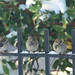 Larry Sparrow Photo 10