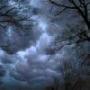 Theresa Lake Photo 16