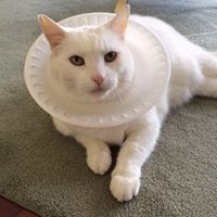 Jill Landis Photo 26 Jill Landis Photo 26