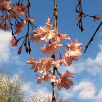 Susan Korte Photo 18