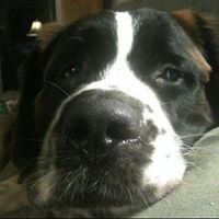 Heidi Arthur Photo 18