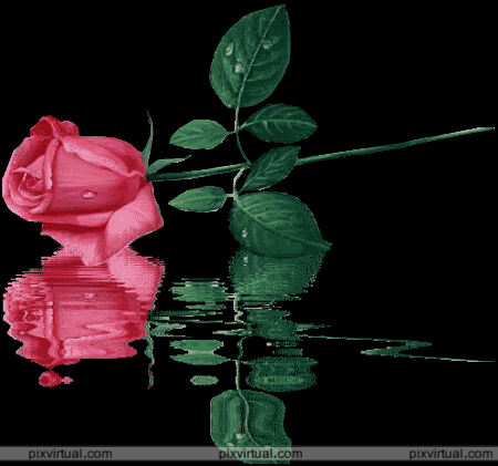 Emilia Rivera Photo 4