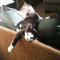 Margaret Rhoads Photo 9