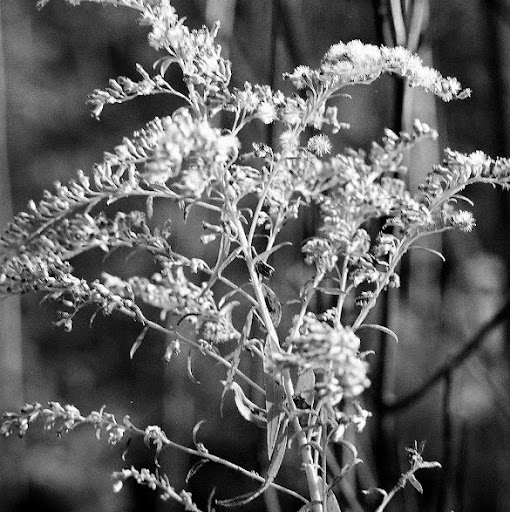 Susan Schmitz Photo 22