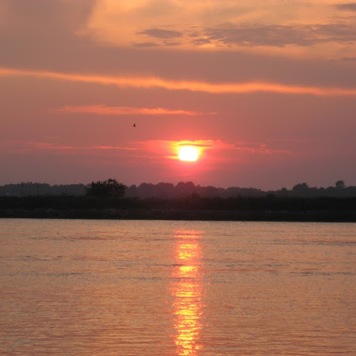 Margaret Shepard Photo 35