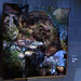 Joseph Hebert Photo 27
