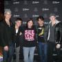 Denise Perez Photo 30