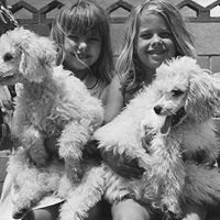 Debra Greenfield Photo 12